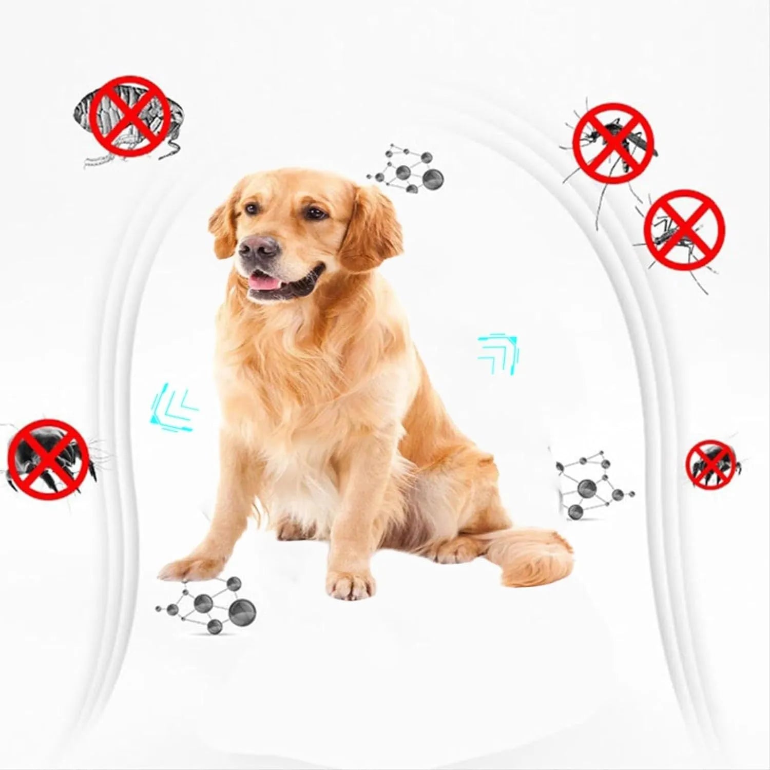 A small, white, double-sided plastic flea comb for pet face and tear stain grooming.