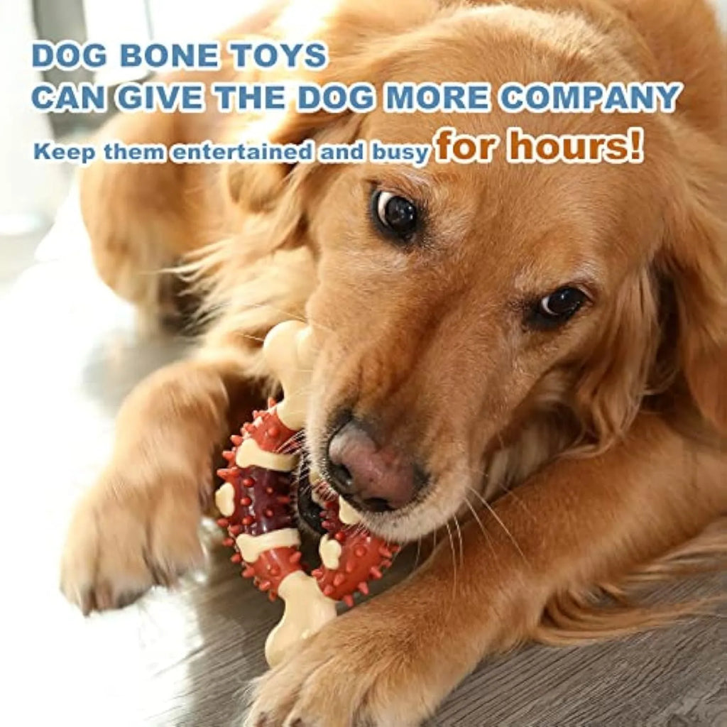 Bone-shaped natural rubber dog chew toy for teeth cleaning in two sizes