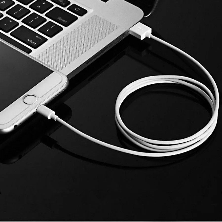 White USB wall charger and Lightning cable for iPhone and iPad models on a grey background.