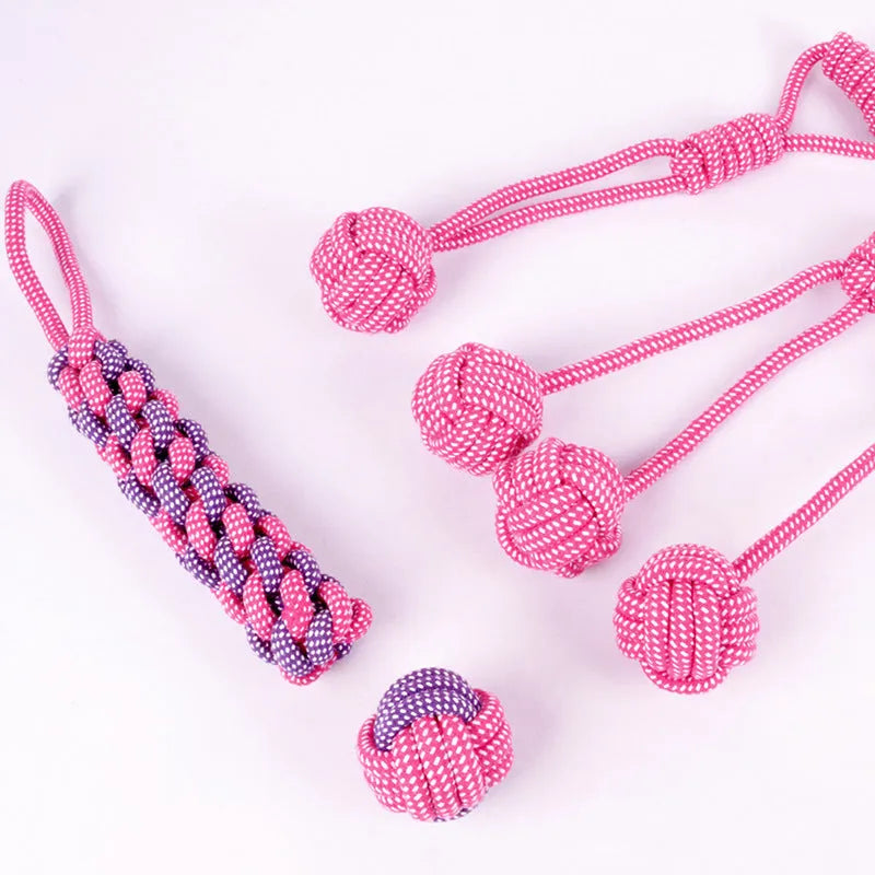Teddy golden dog toy five-piece chew set with cotton rope pieces in small 32cm and large 47cm sizes, pink option