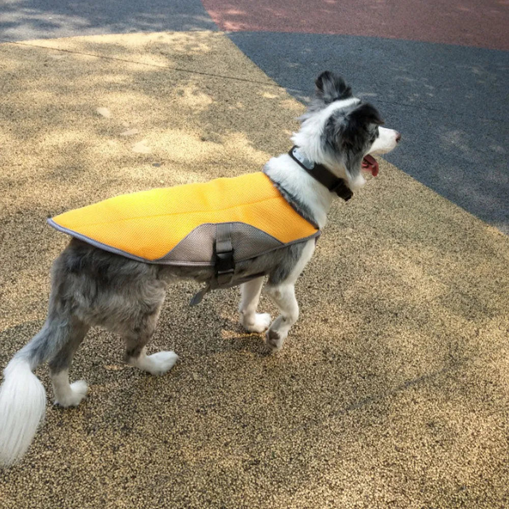 Summer dog cooling vest in Blue with cool-sensing fabric, breathable mesh and cotton filling