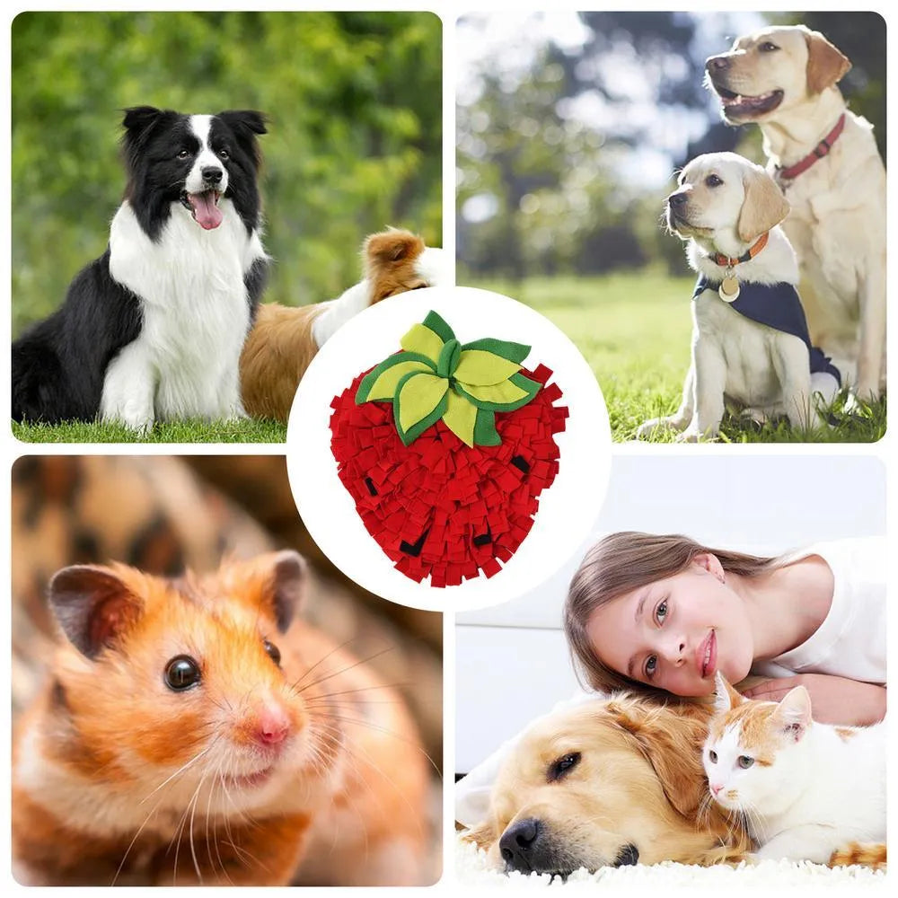 Red and green strawberry-shaped pet sniffing mat for slow feeding dogs and cats.