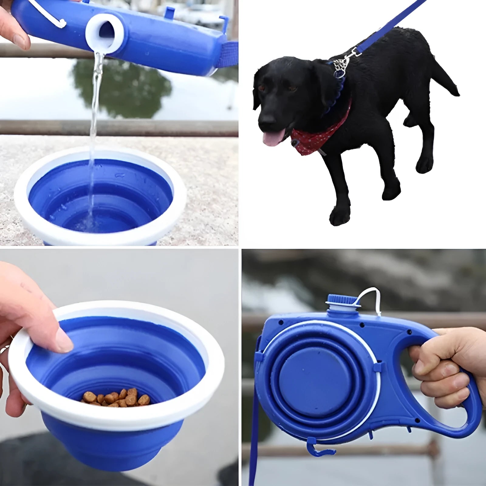 Dog leash with attached water bottle and cup in blue, black and red colour options