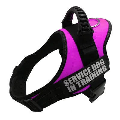 Adjustable reflective dog harness in blue with a handle and chest strap on a dog