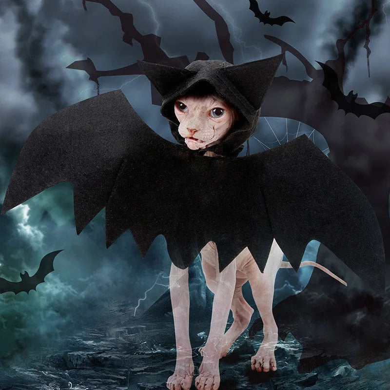 Black felt bat wing costume for cats and dogs with Velcro strap, size L shown on a pet