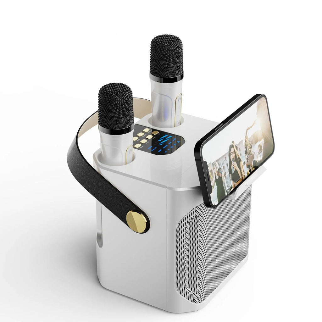 Bluetooth speaker with dual microphones for outdoor karaoke, black colour, showing front panel and microphone slots