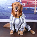 Cotton long sleeve dog bottoming shirt in blue or red, four legged design for medium and large dogs, sizes 30-36