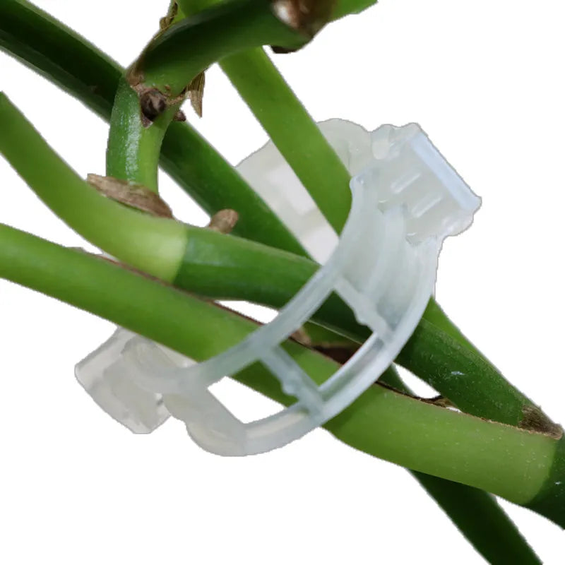 Plastic plant fixing clips pack of 50 pieces for garden plant support