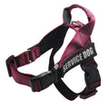Personalised pet harness in black with custom name, adjustable padded dog walking harness