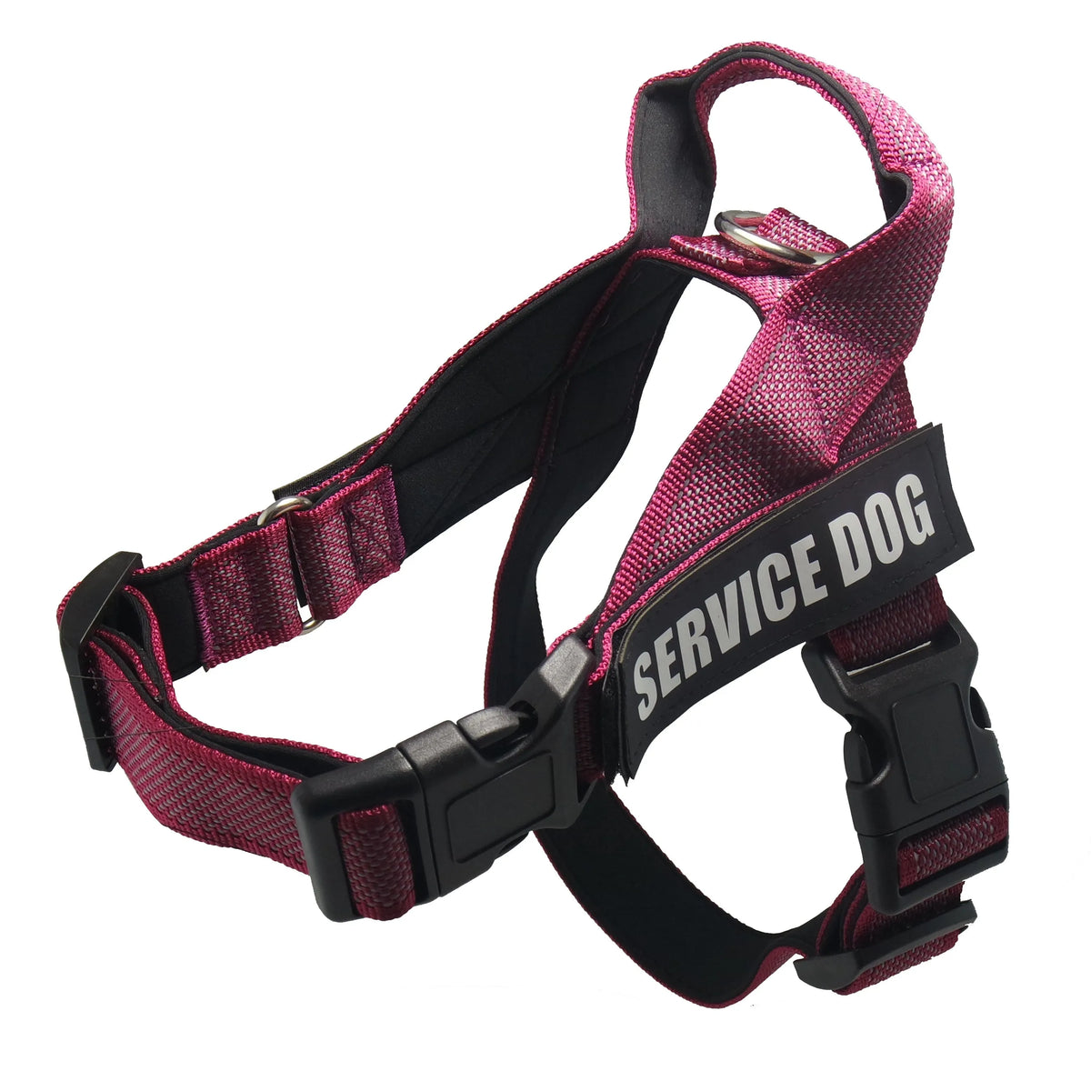 Personalised pet harness in black with custom name, adjustable padded dog walking harness
