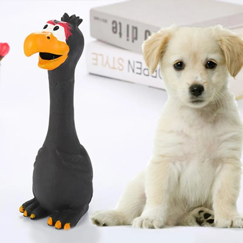 Dog screaming chicken sounding toy made of natural latex rubber in red colour