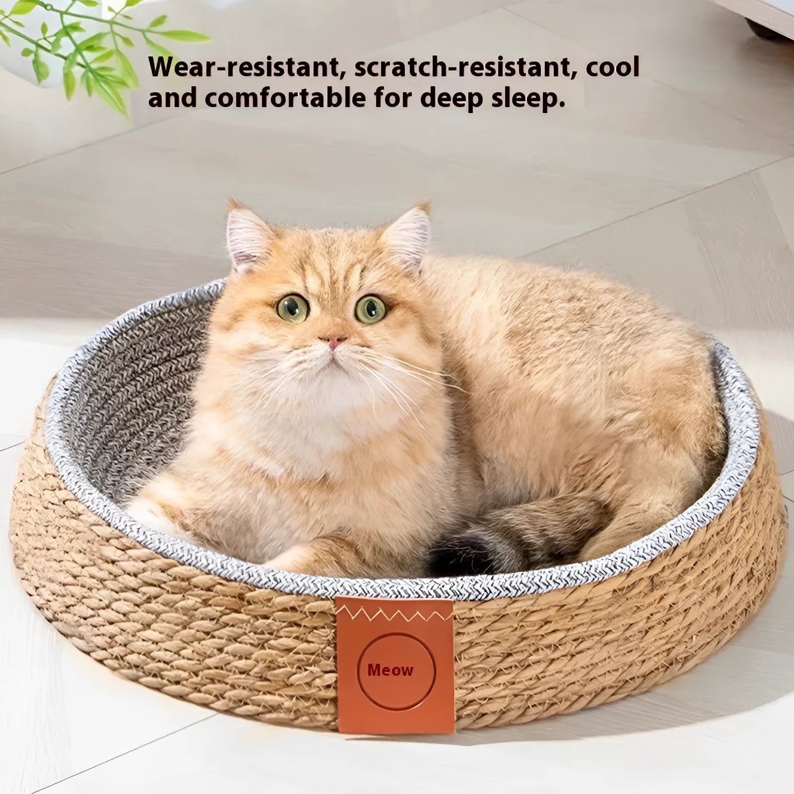 Rattan woven cat nest bed available in four sizes for feline sleeping comfort