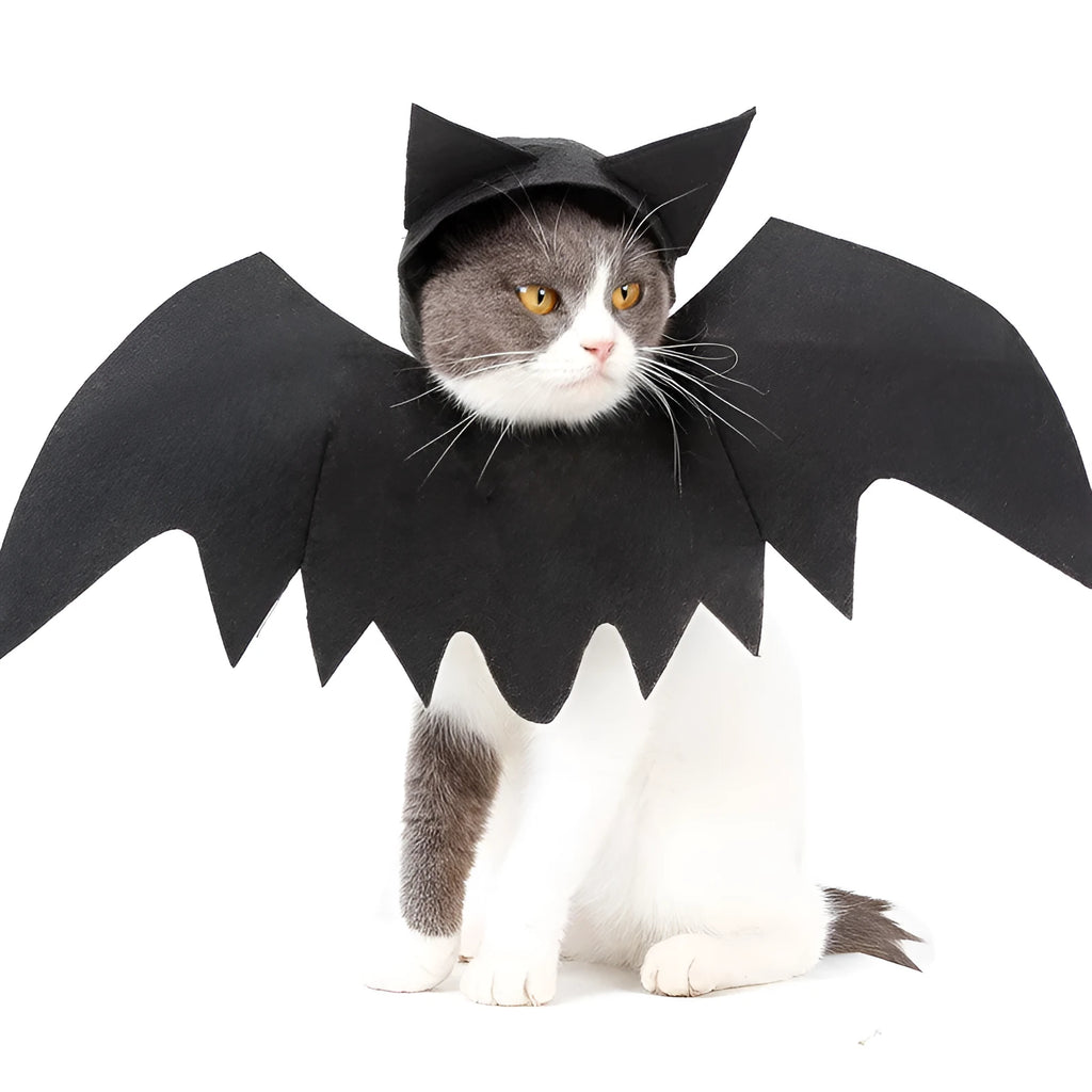 Black felt bat wing costume for cats and dogs with Velcro strap, size L shown on a pet
