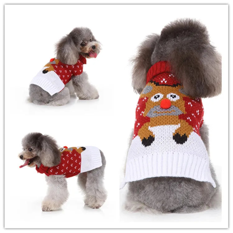 Polyester casual dog sweater in MYD94 red colour on a white background