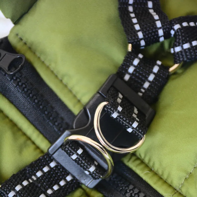 Waterproof dog hooded coat for small dogs in winter, with reflective trim and zipper, on a Chihuahua