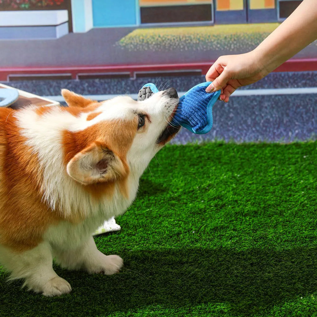 Blue plush teddy bear dog chew toy with a squeaker bone, for small to medium dogs.