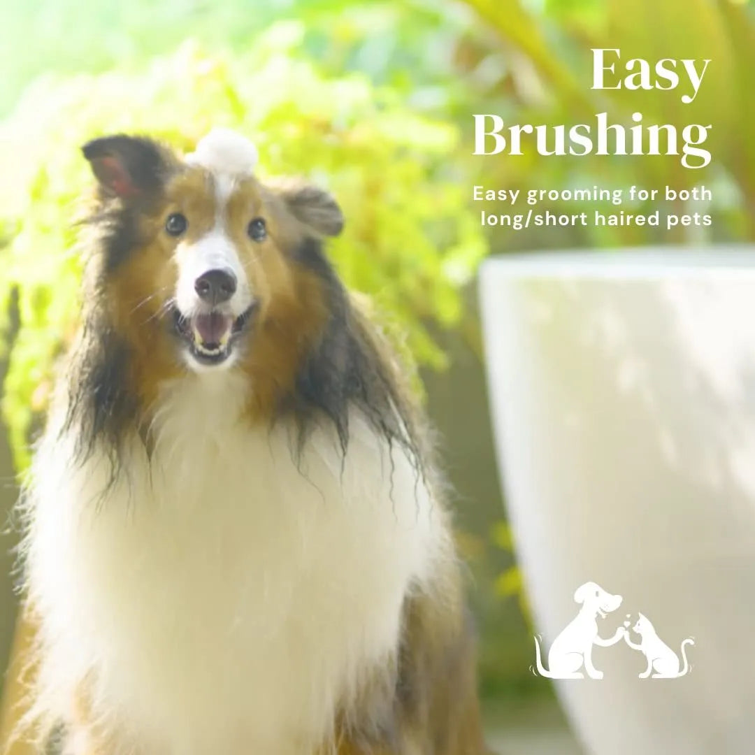 Self-cleaning slicker brush for dogs and cats with blue rubber handle and stainless steel bristles.