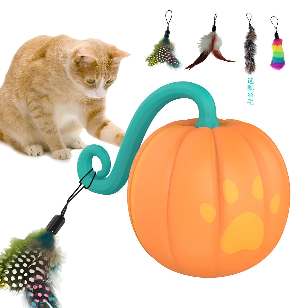 Electric cat toy ball with LED lights in watermelon design for indoor pet play
