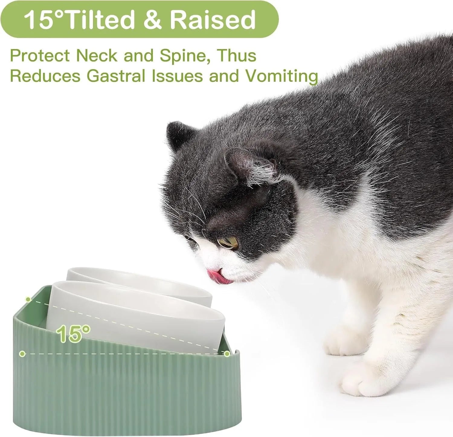 Green ceramic elevated cat bowl set with two bowls on a tilted, non-slip stand.