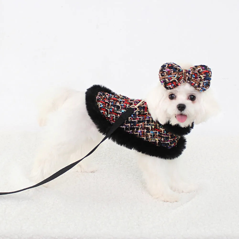 Small dog wearing fabric cape with matching beret, attached to chest strap and lead