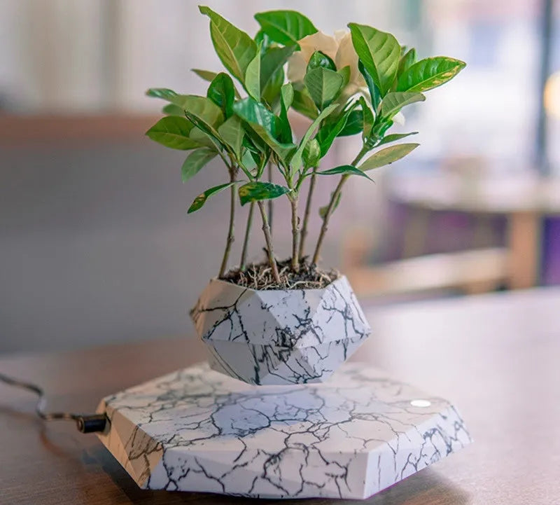 Small marble-colour levitating plant pot floating above its magnetic base on a desk.
