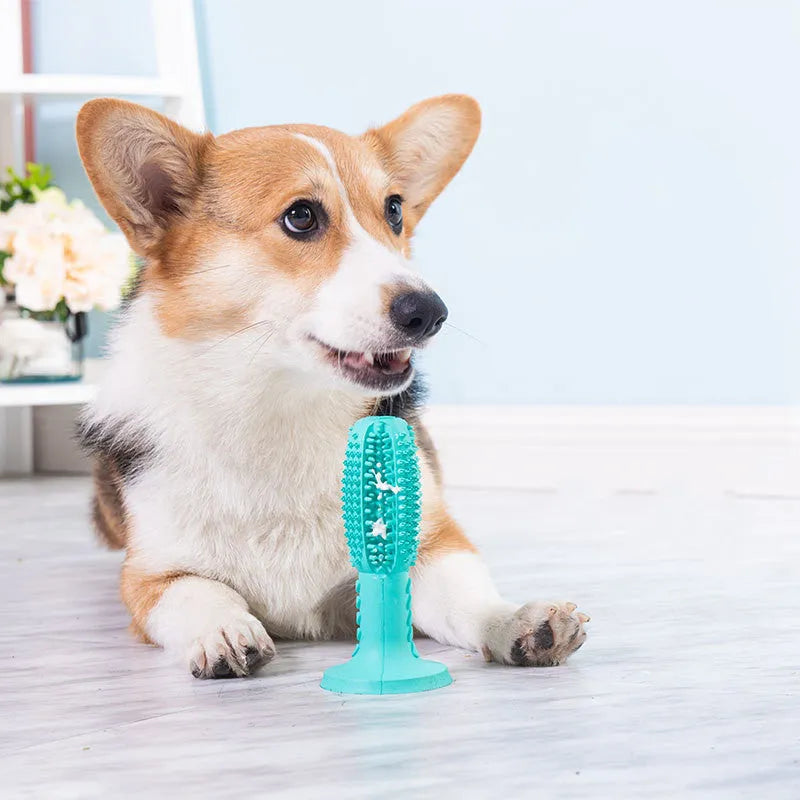 Blue rubber dog molar teeth cleaning stick with textured surface, size 6.5x14.5cm