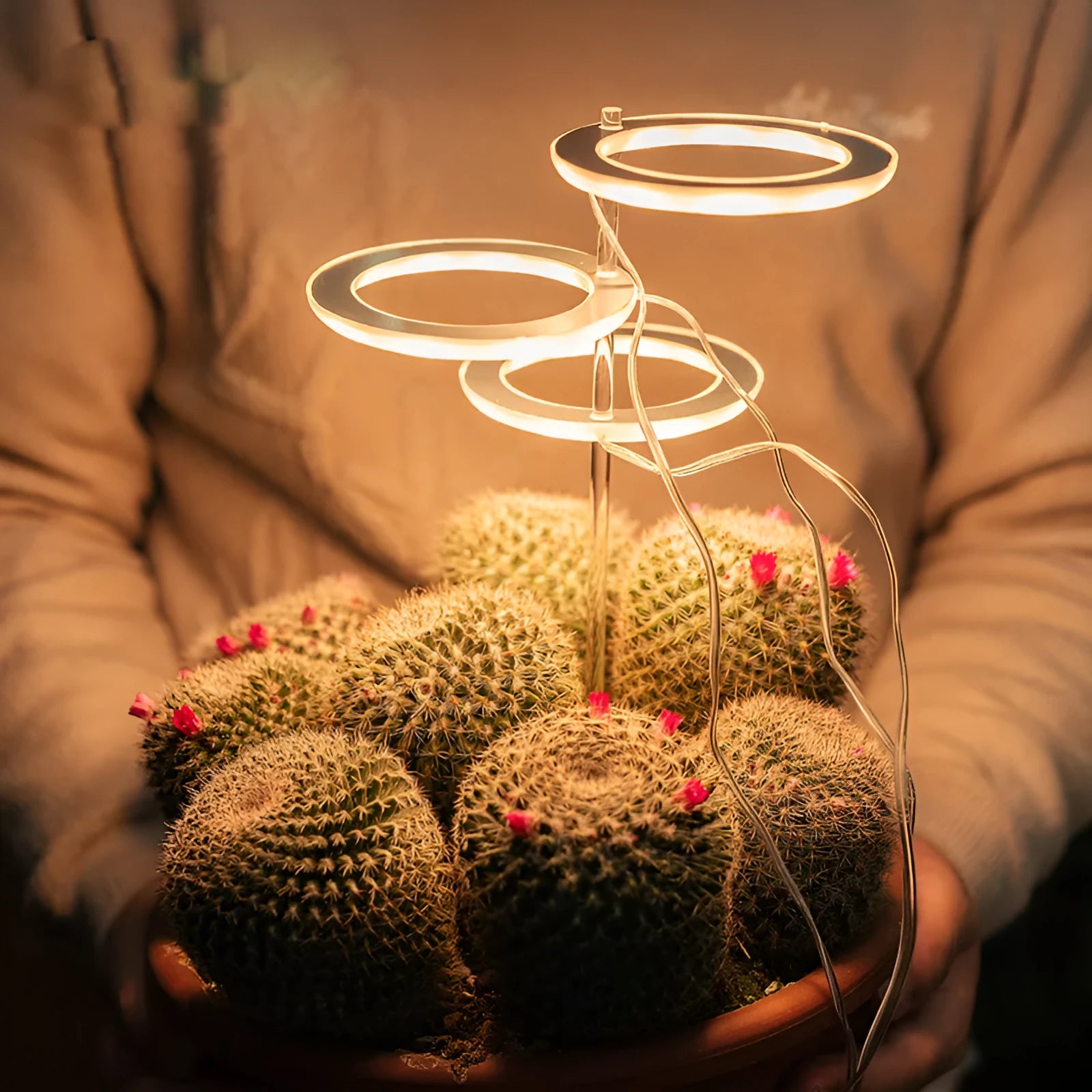 Transparent USB LED plant grow light with acrylic stick for indoor plants.