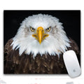 Custom printed mouse pad with rubber base and cloth surface measuring 240x200mm