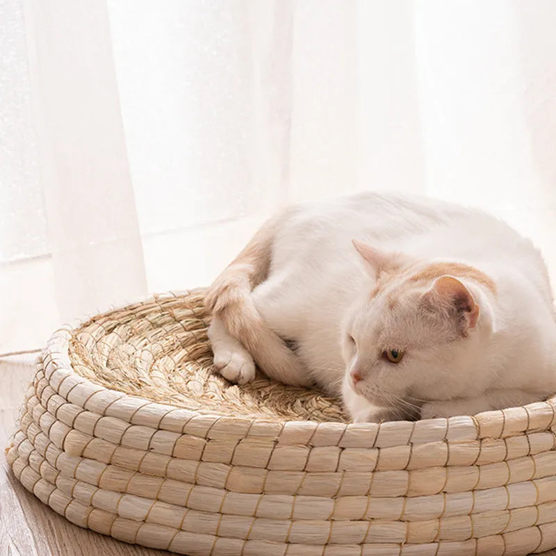 Straw and corn husk cat bed with 35cm caliber, wok-style felt house shape for indoor cats