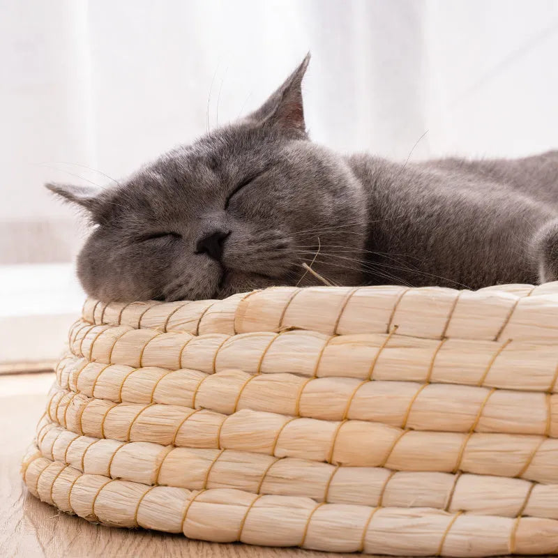 Straw and corn husk cat bed with 35cm caliber, wok-style felt house shape for indoor cats