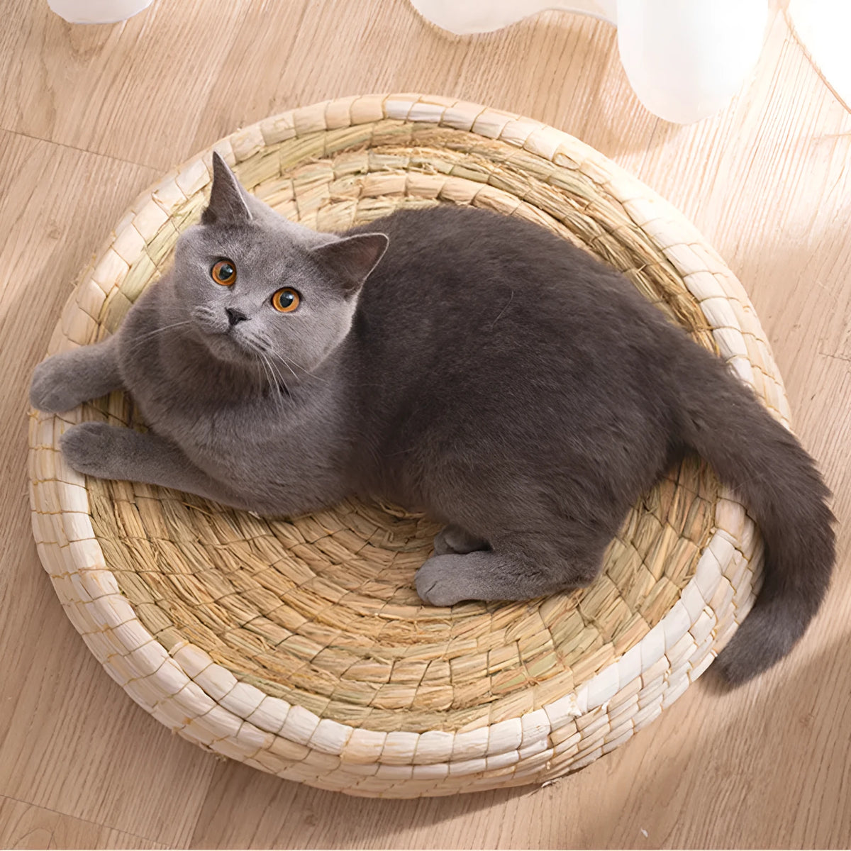 Straw and corn husk cat bed with 35cm caliber, wok-style felt house shape for indoor cats