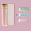 Mixed colour HB pencil pack with purple glitter and pale pink pencils in display box