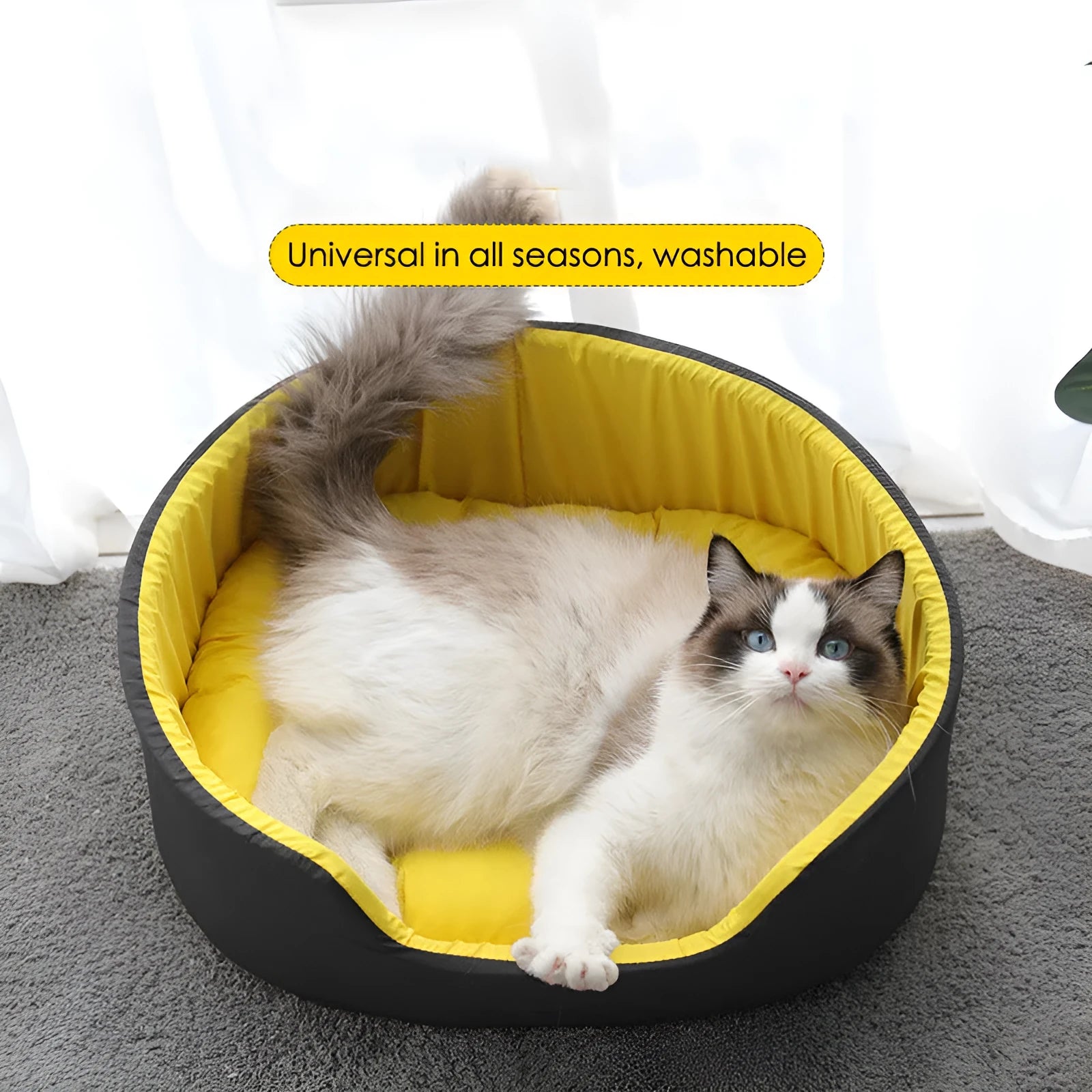 Washable cloth pet kennel for cats and dogs in black and green colours