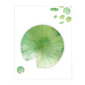 Leaf-shaped sticky notes featuring eight designs including water lily and ginkgo on a white background