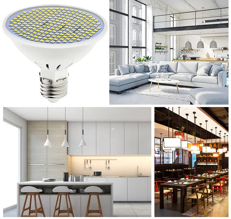 E27 LED lamp cup bulb with PC body showing warm white and cool white lighting options