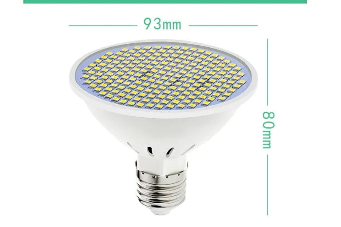 E27 LED lamp cup bulb with PC body showing warm white and cool white lighting options