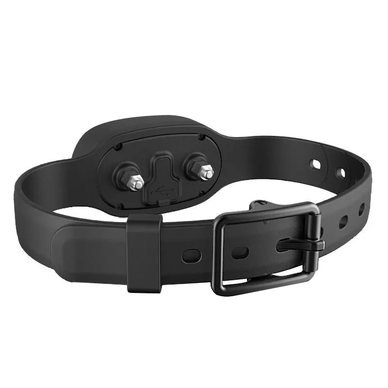 Black and orange waterproof remote dog training collar with handheld transmitter