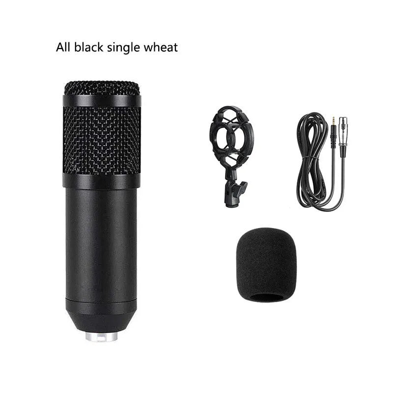 BM800 condenser microphone kit with V8 sound card, shock mount, pop filter, and cantilever arm on a desk