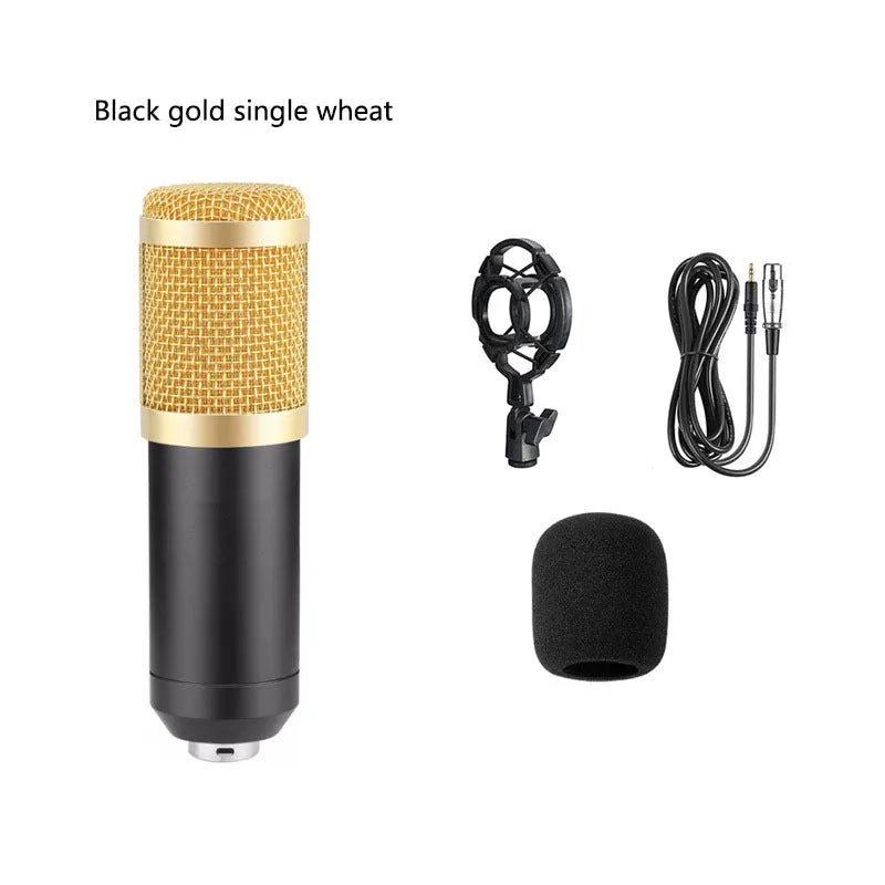 BM800 condenser microphone kit with V8 sound card, shock mount, pop filter, and cantilever arm on a desk