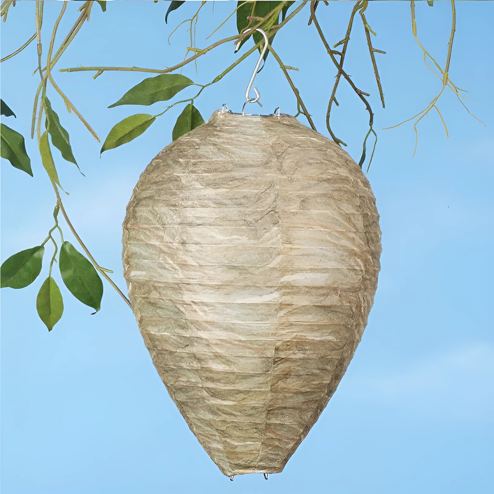 22x28cm honeycomb lantern with paper panels and wire frame in photo colour for event decorations