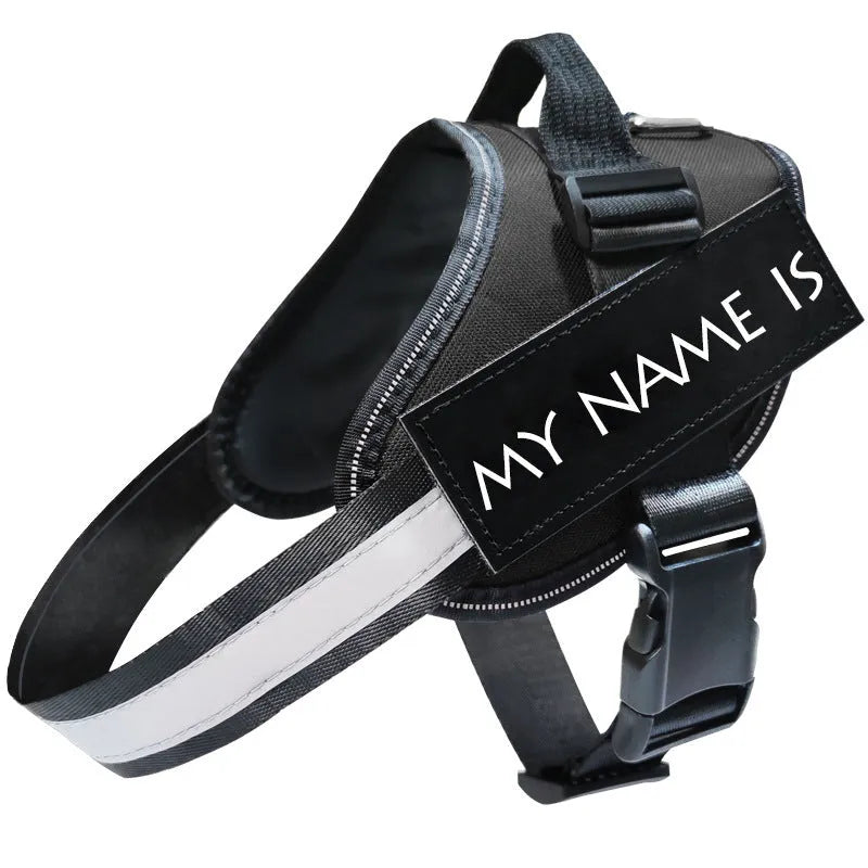 Reflective dog leash and chest strap harness made from polyester, shown in multiple colours and sizes from XS to 2XL
