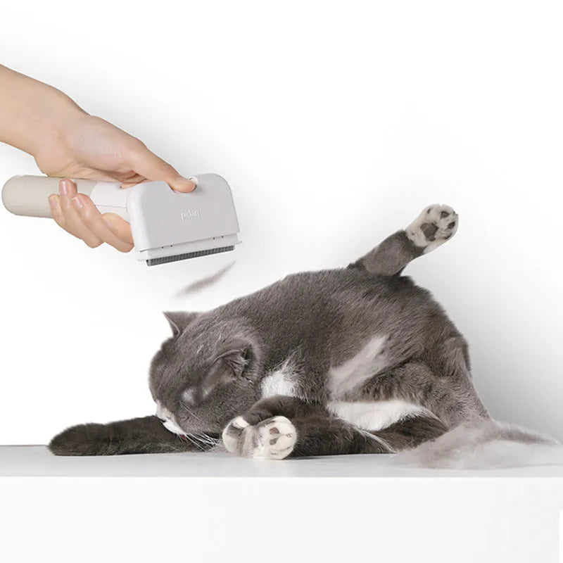 Pet hair removal comb brush with ABS body, PP roller, and nylon etiquette brush for cats and dogs