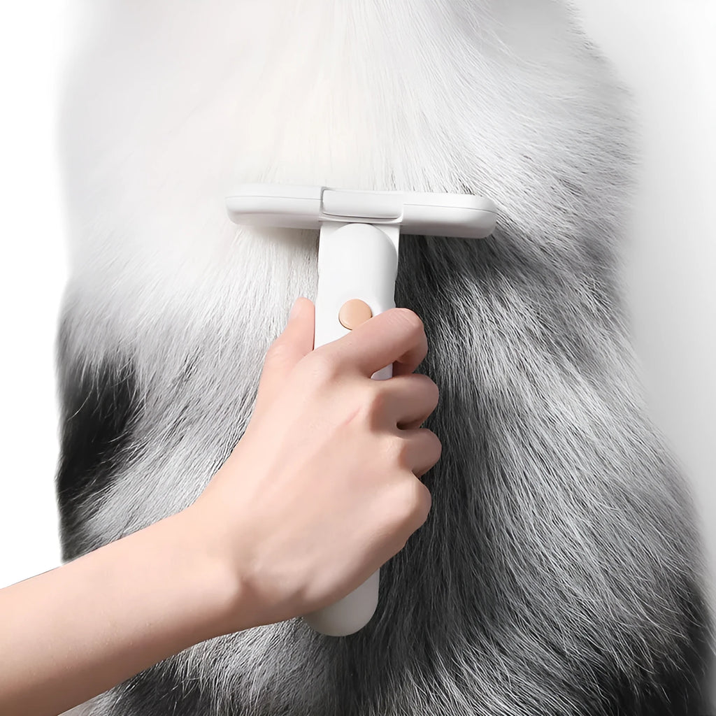 Pet hair removal comb brush with ABS body, PP roller, and nylon etiquette brush for cats and dogs