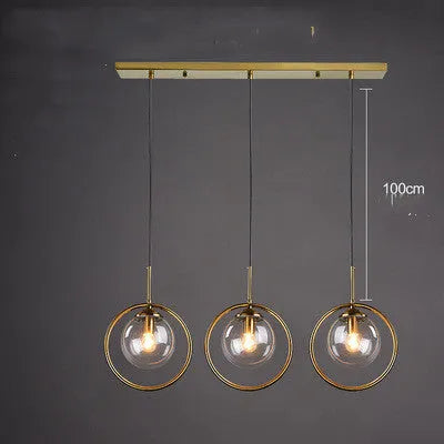 Single head glass small chandelier with transparent shade, adjustable 1.5m height
