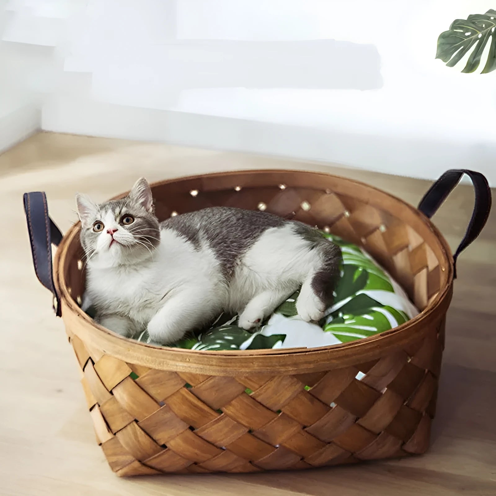 Hand-woven bamboo rattan cat bed with cushion, three sizes available