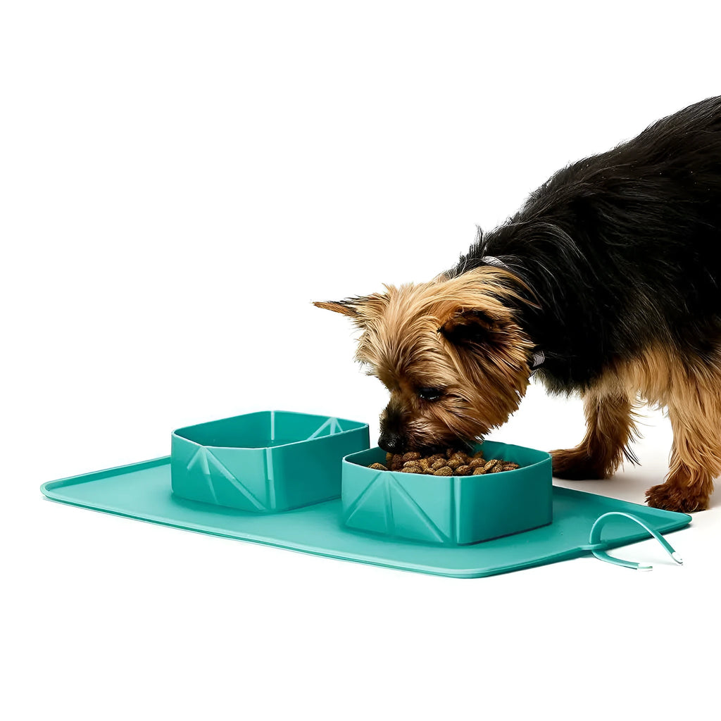 Silicone folding pet bowl in blue with non-slip base, 390x235mm, collapsible travel dog bowl
