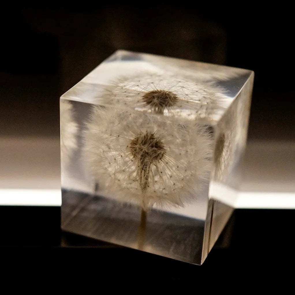 5cm clear resin cube with a real dandelion inside, on a USB LED base next to a wooden box.