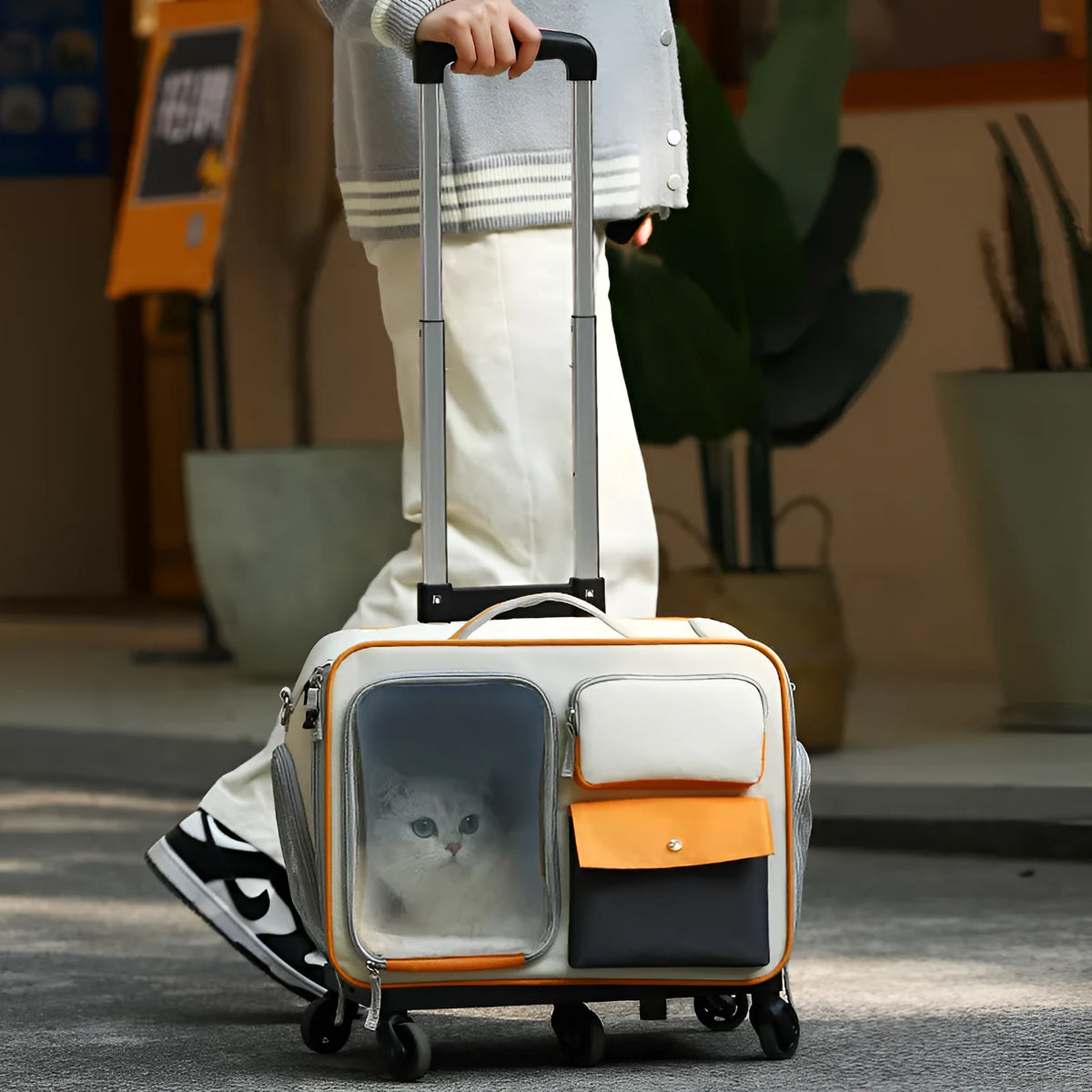 Oxford cat trolley bag with 32L capacity in beige, brown, grey, peacock blue, or yellow