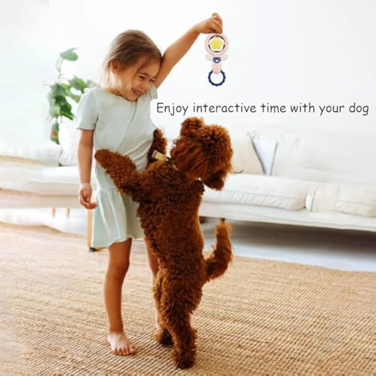Set of four interactive dog toys with dental cleaning shapes and safety rings for large breed dogs
