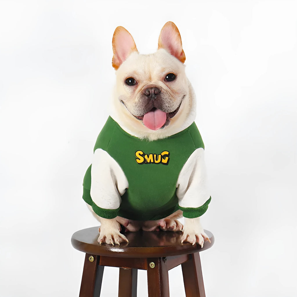 Green cotton dog coat for large breeds in sizes L, XL, 2XL, 3XL, and 4XL
